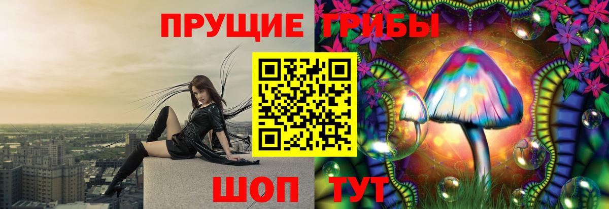 Нижнеудинск  где можно купить   Вход с VPN  Галлюциногенные грибы Magic Shrooms  Галлюциногенные грибы ЛСД 