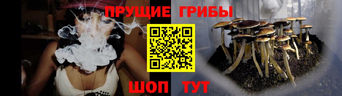 Галлюциногенные грибы Psilocybine cubensis Нижнеудинск